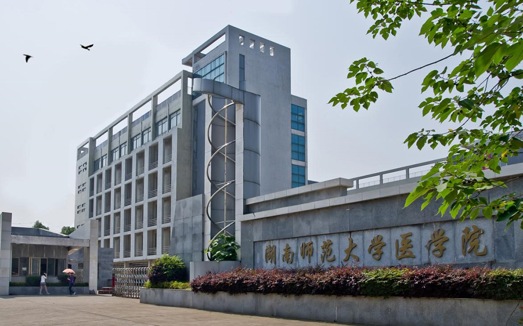 为什么选湖南师范大学医学院?病房实训加师范教法